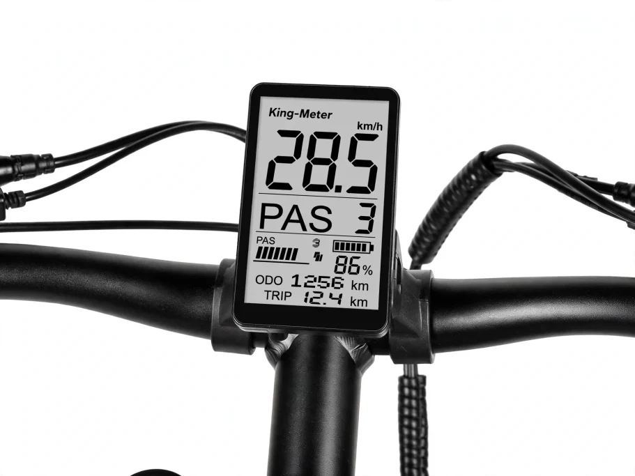 Display Shengmilo KING-METER NOKEE-U: Guida Completa a Funzioni, Parametri e Codici Errore